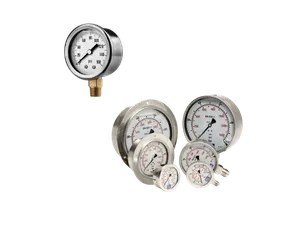 Pressure Gauge