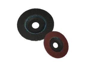Flap Discs